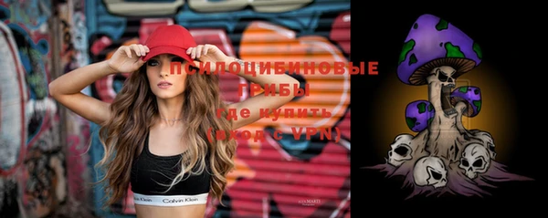 ПСИЛОЦИБИНОВЫЕ ГРИБЫ Лихославль