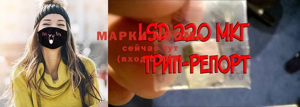 ПСИЛОЦИБИНОВЫЕ ГРИБЫ Лихославль