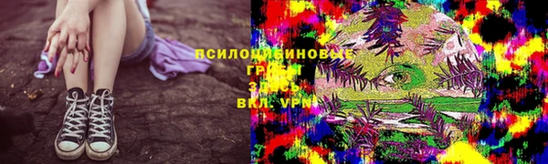 гашик Ачинск
