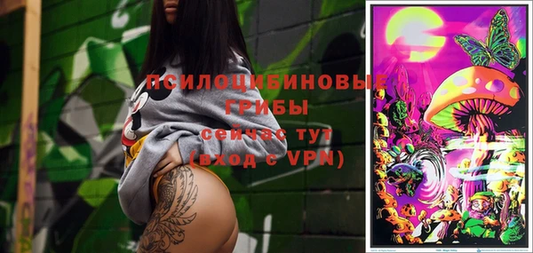 ПСИЛОЦИБИНОВЫЕ ГРИБЫ Лихославль