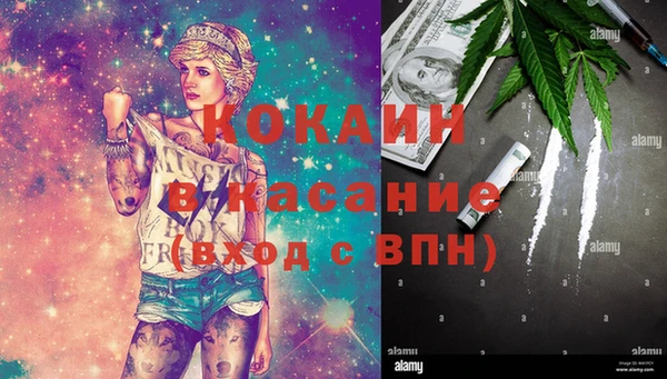 ПСИЛОЦИБИНОВЫЕ ГРИБЫ Лихославль