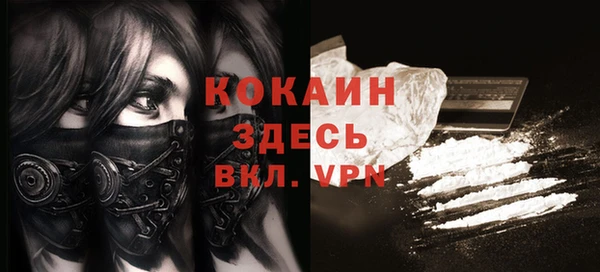 молекула духа Липки