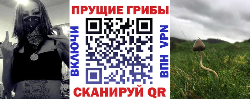 Псилоцибиновые грибы ЛСД  Заречный 