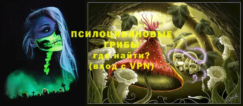 Галлюциногенные грибы MAGIC MUSHROOMS  блэк спрут ссылки  Заречный 