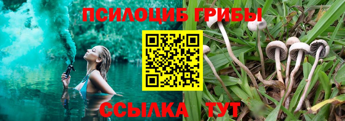 Псилоцибиновые грибы прущие грибы  Галлюциногенные грибы прущие грибы  Вход с VPN  Заречный 