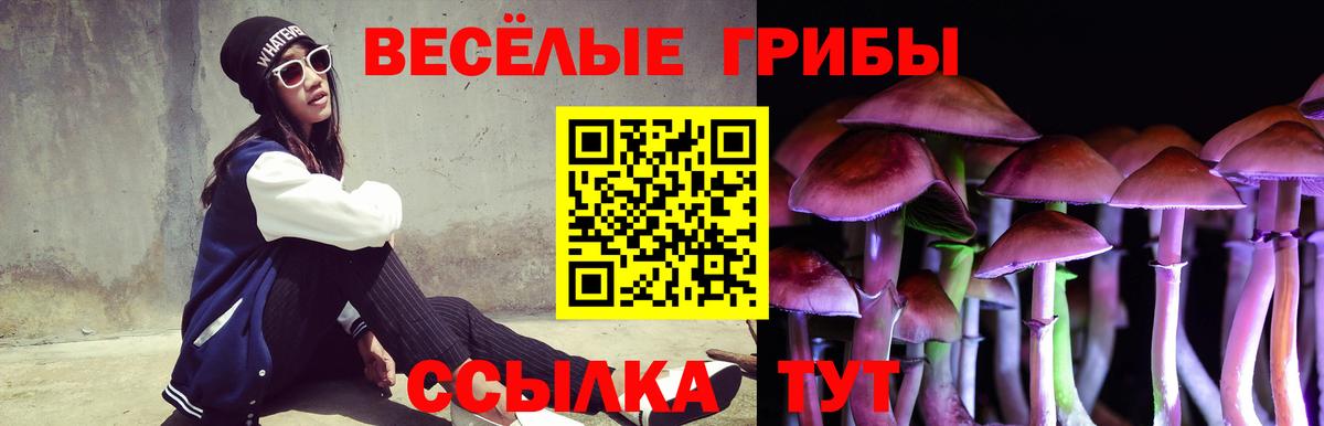 Галлюциногенные грибы Cubensis  цены   Заречный 